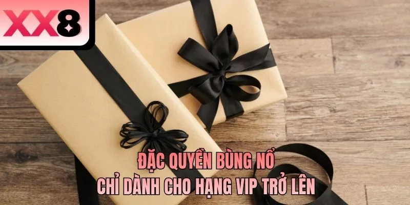 Đặc quyền bùng nổ chỉ dành cho hạng VIP trở lên